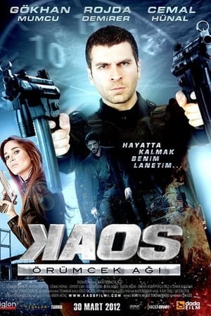 Kaos: Örümcek Agi (2012) Hindi Dual Audio HDRip 720p – 480p