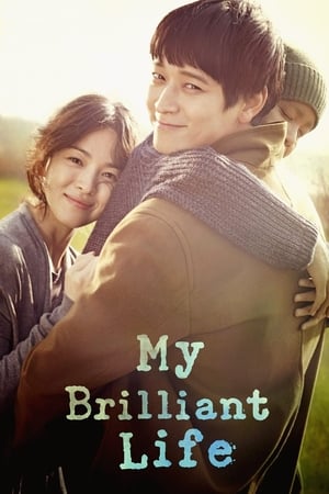 My Brilliant Life (2014) Hindi Dual Audio HDRip 1080p – 720p – 480p - Movierulz