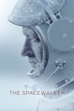 Spacewalk 2017 Hindi Dual Audio HDRip 720p – 480p