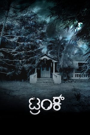 Trunk (2018) (Hindi - Kannada) Dual Audio 720p UnCut HDRip [1.4GB]